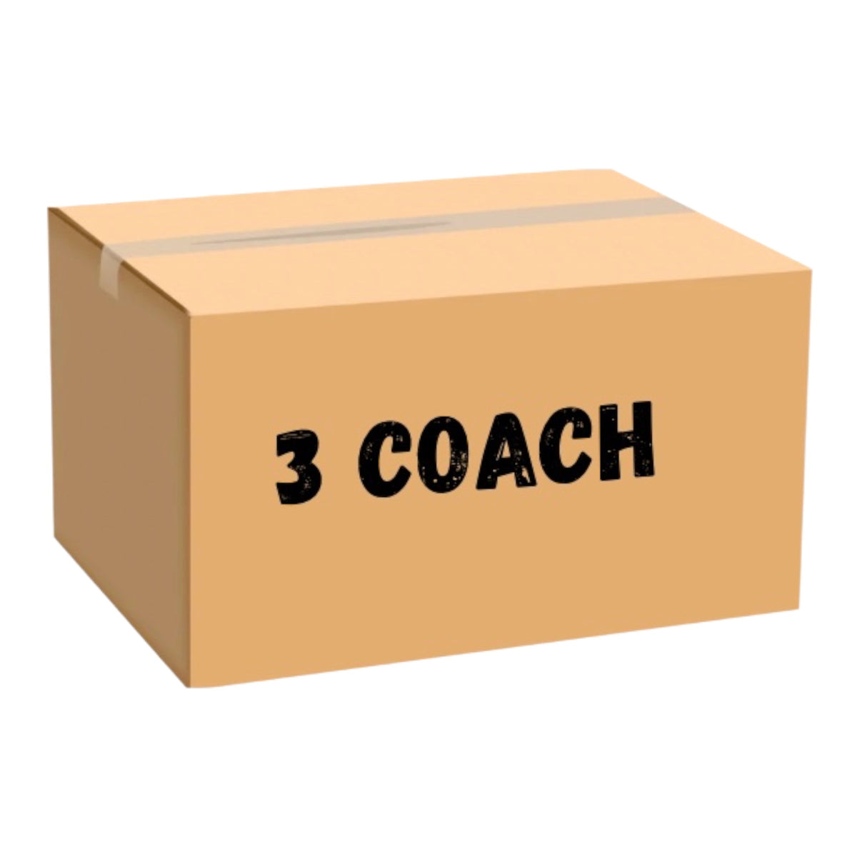 3 Bolsas Coach