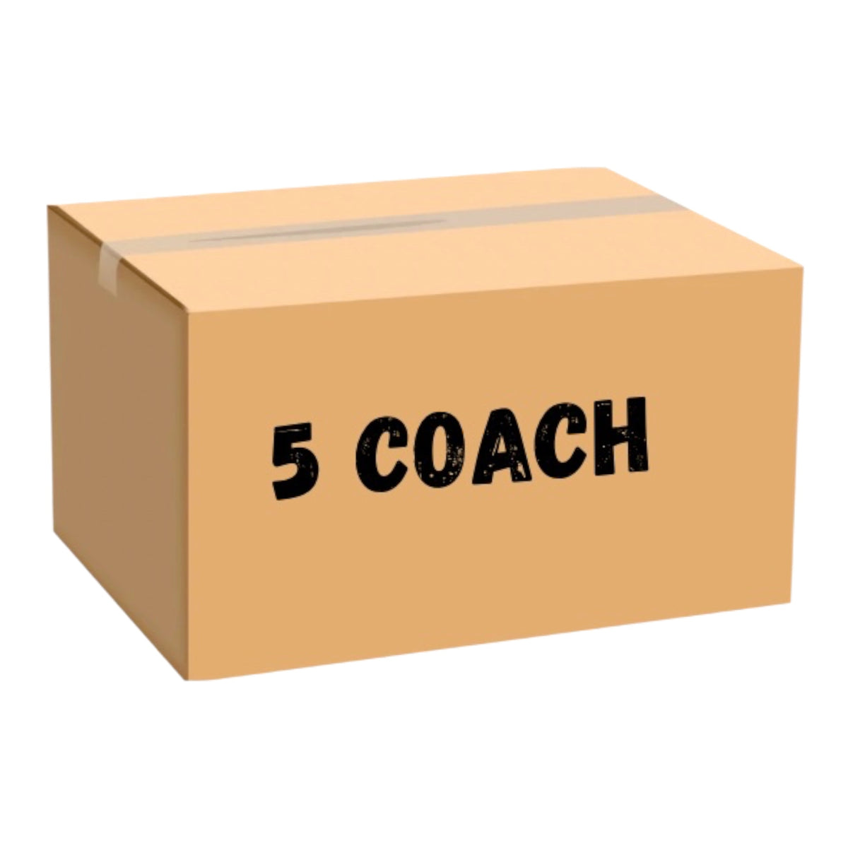 5 Bolsas Coach